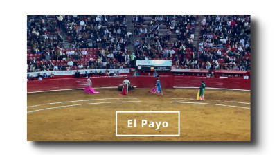 REGRESAN LOS TOROS A LA MÉXICO CON EL TOREO DE "EL PAYO"
