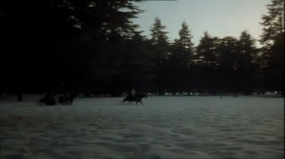 desideria e l'anello del drago 1995