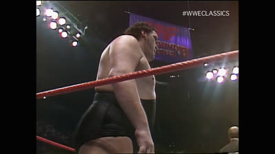 Survivor Series 1987 10 Man Elimination Match