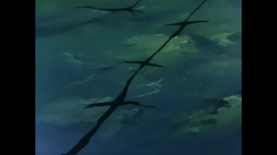 goldrake epi 66 Sotto il livello del mare - Trappola in fondo al mare