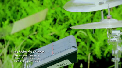 BELLAS DEL FOLKLORE -  Recuerdo de amor
