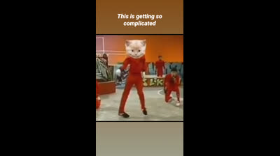 Gatito bailando:  dance You outta head _ cat janice