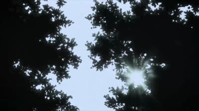 Devilman Crybaby  epi 09